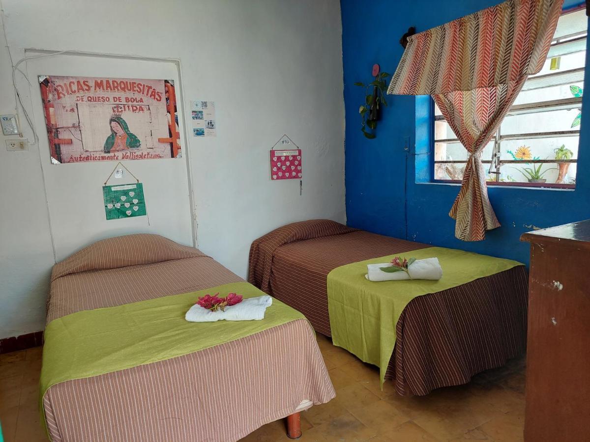 Hostel 35 Valladolid  Extérieur photo