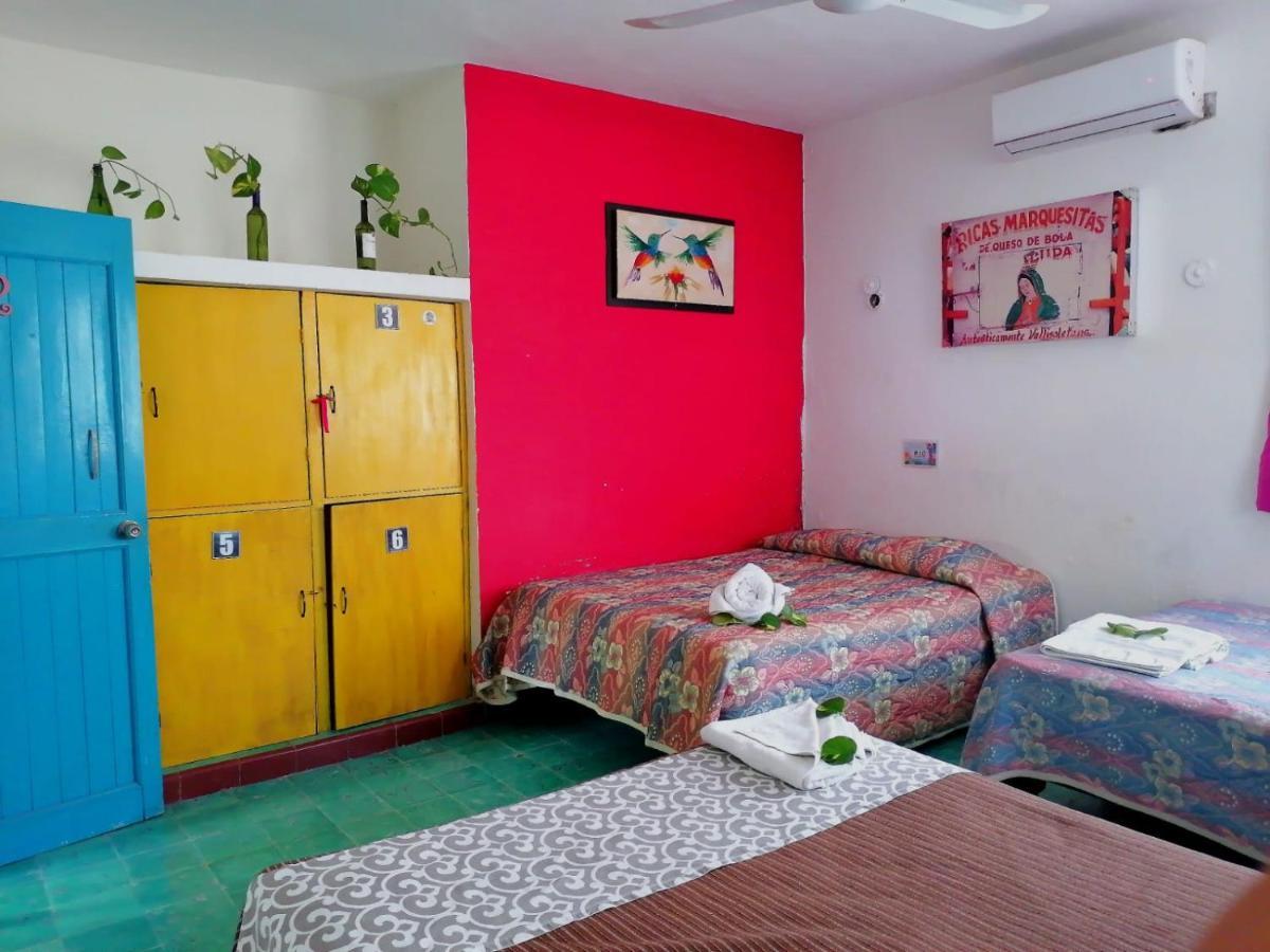 Hostel 35 Valladolid  Extérieur photo