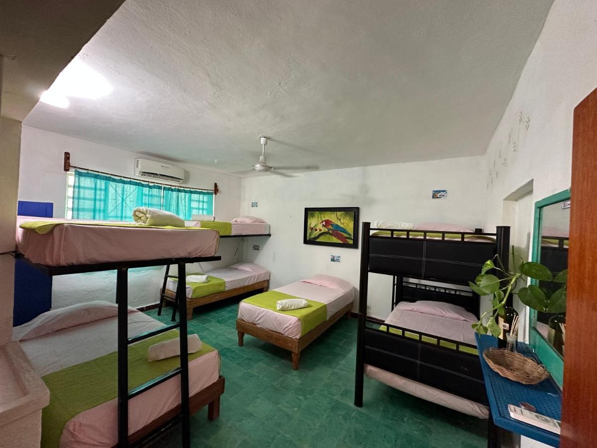 Hostel 35 Valladolid  Extérieur photo