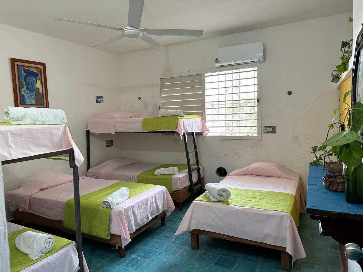 Hostel 35 Valladolid  Extérieur photo