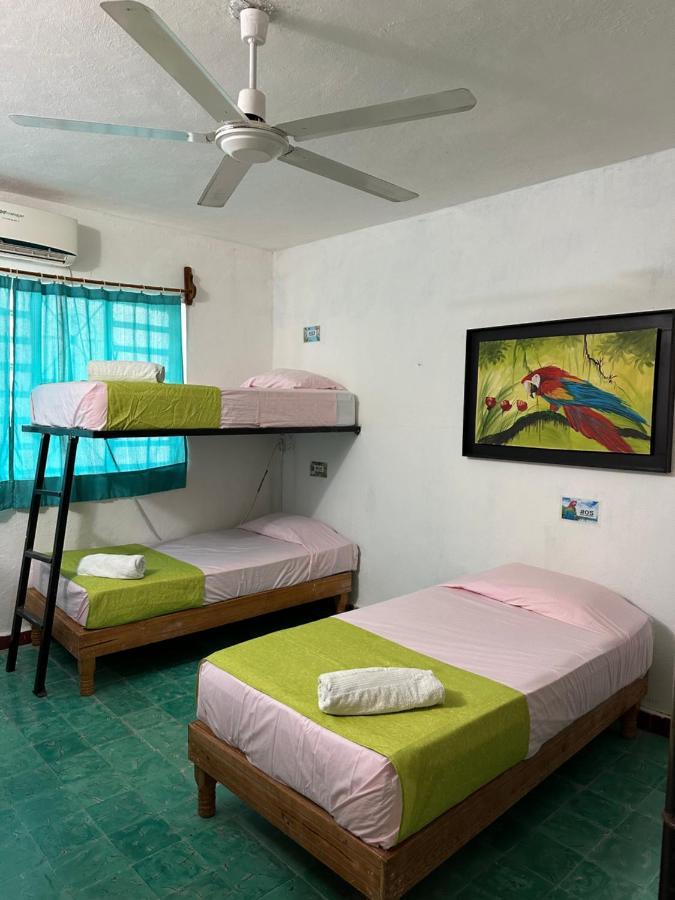 Hostel 35 Valladolid  Extérieur photo